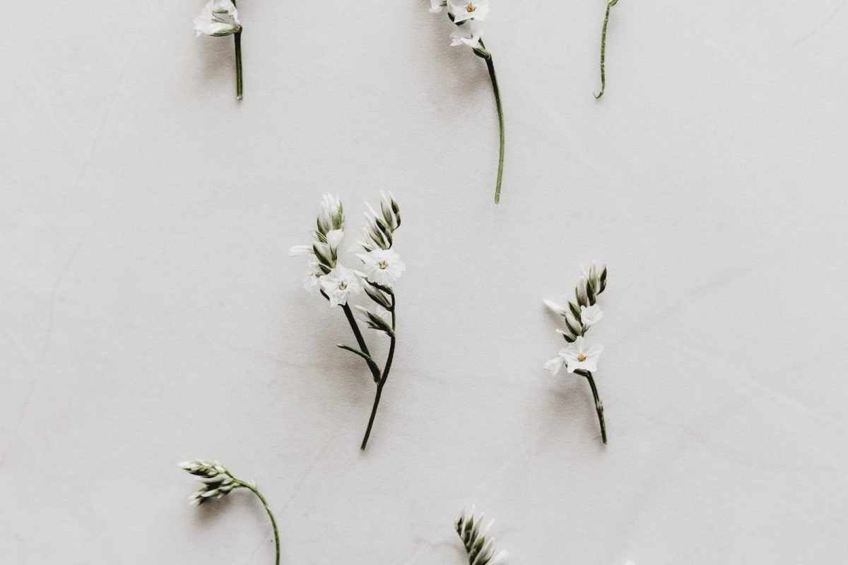 health wellness how to glow up summer